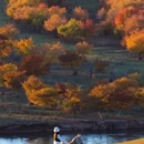 大兴安岭旅游 缩略图 5