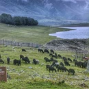 冶勒湖观景台 - 凉山彝族自治州旅游 缩略图 4