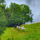 冶勒湖观景台 - 凉山彝族自治州旅游 缩略图 5