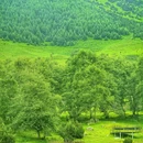 冶勒湖观景台 - 凉山彝族自治州旅游 缩略图 6