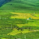 冶勒湖观景台 - 凉山彝族自治州旅游 缩略图 10