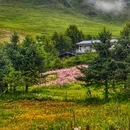 冶勒湖观景台 - 凉山彝族自治州旅游 缩略图 19