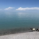 海北旅游 缩略图 9