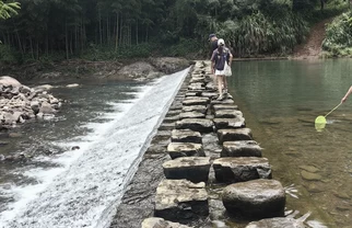想知道有多少人是被骗来桐庐的