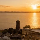 嘉兴旅游 缩略图 3