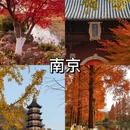 潮州旅游 缩略图 6