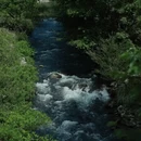 宁波旅游 缩略图 3