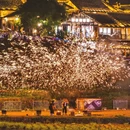 遵义旅游 缩略图 8