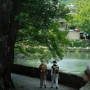宁波旅游 缩略图 10