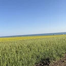 海北旅游 缩略图 3