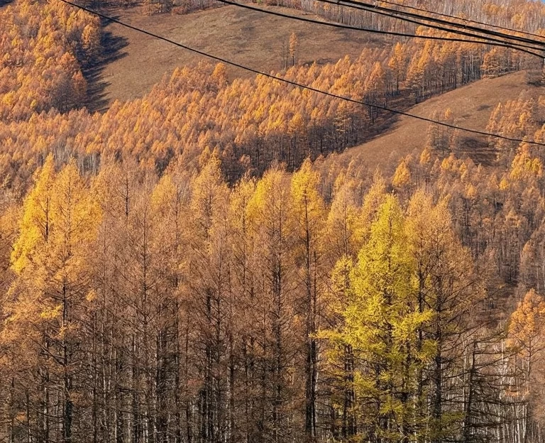 呼伦贝尔旅游 1