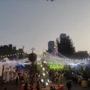 厦门旅游 缩略图 7