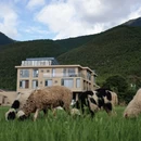 丽江旅游 缩略图 4