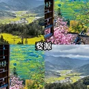 深圳旅游 缩略图 6