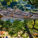 松阳老城 - 丽水市旅游 缩略图 2