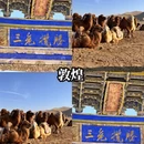 深圳旅游 缩略图 7