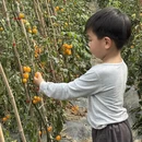 苏州旅游 缩略图 1