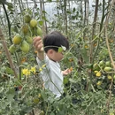 苏州旅游 缩略图 6