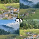 深圳旅游 缩略图 3