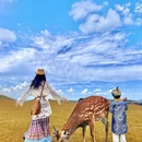 赤峰旅游 缩略图 11