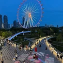 深圳旅游 缩略图 10