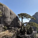 黄山旅游 缩略图 4