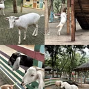 昆明旅游 缩略图 15
