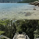 深圳旅游 缩略图 8