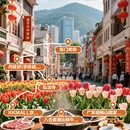 深圳旅游 缩略图 2