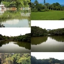深圳旅游 缩略图 6