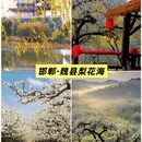 深圳旅游 缩略图 3