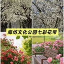 深圳旅游 缩略图 6