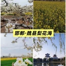 深圳旅游 缩略图 2
