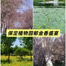 深圳旅游 缩略图 4