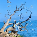 大理州旅游 缩略图 3
