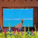大理州旅游 缩略图 2