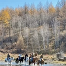呼伦贝尔旅游 缩略图 6