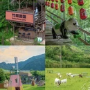云上草原国际山地旅游度假区 - 湖州市旅游 缩略图 14