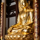 厦门旅游 缩略图 5
