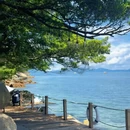 深圳旅游 缩略图 5