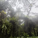 厦门旅游 缩略图 6