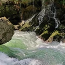 贵州茂兰国家级自然保护区-青龙瀑 - 黔南布依族苗族自治州旅游 缩略图 5
