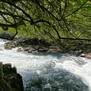 贵州茂兰国家级自然保护区-青龙瀑 - 黔南布依族苗族自治州旅游 缩略图 4