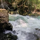 贵州茂兰国家级自然保护区-青龙瀑 - 黔南布依族苗族自治州旅游 缩略图 6