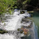 贵州茂兰国家级自然保护区-青龙瀑 - 黔南布依族苗族自治州旅游 缩略图 10