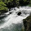 贵州茂兰国家级自然保护区-青龙瀑 - 黔南布依族苗族自治州旅游 缩略图 12