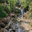 贵州茂兰国家级自然保护区-青龙瀑 - 黔南布依族苗族自治州旅游 缩略图 14