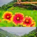 京畿道 - 韩国旅游 缩略图 10