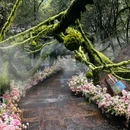 天生桥瀑布群自然风景区 - 保定市旅游 缩略图 6