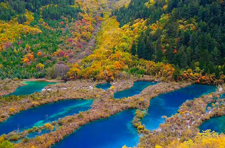 7天6晚·【全景四川】成都·都江堰·九寨沟·黄龙·峨眉山·乐山·跟团游